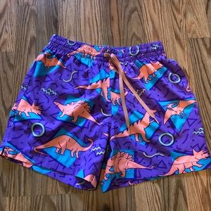 Chubbies 90s retro dinosaur swim trunks short inseam shorts